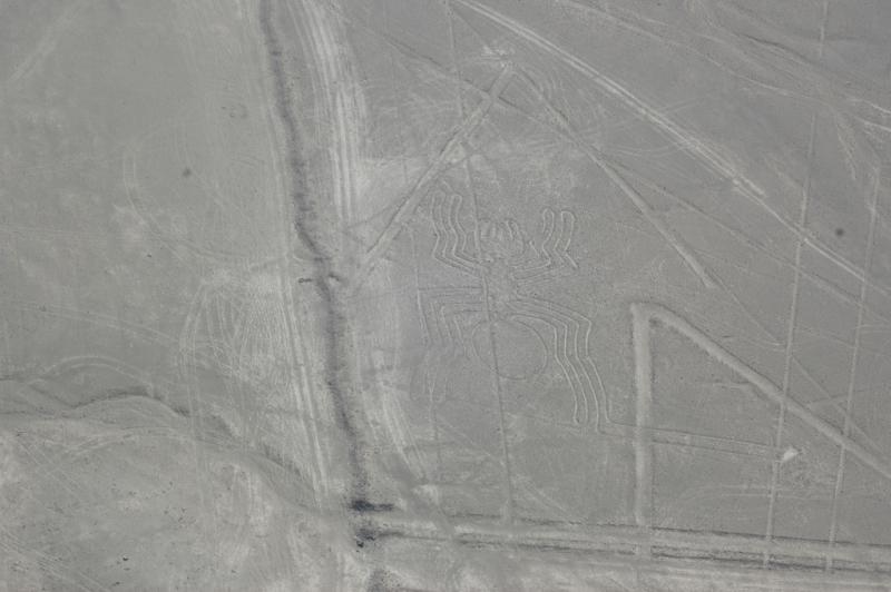 Nazca lines: the spider