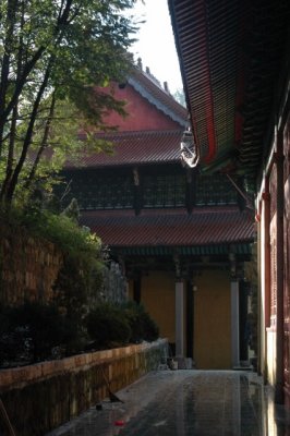 Yangtze 1 676 426x640.jpg