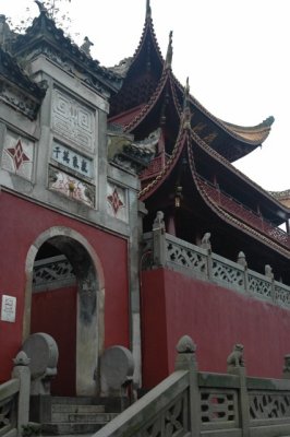 yangtze 1 269 2 426x640.jpg