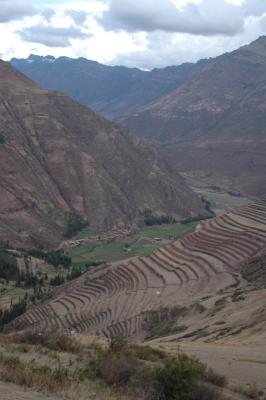 Inca terracing above Pisca