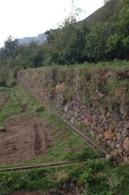 Inca terracing