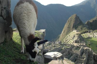 g3/29/587129/3/54691606.compressedperu88.jpg