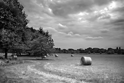 Field Scenery | Oxford