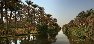 Typical Egyptian Scenery