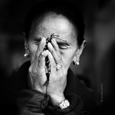 Pray | Kathmandu