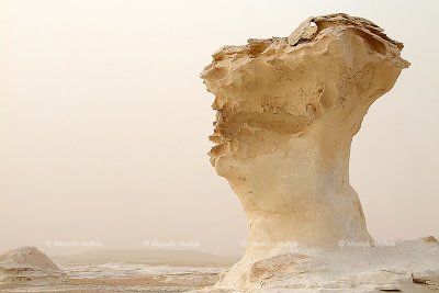 The White Desert - The Western Desert of Egypt