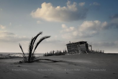Old Deserted Shack