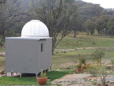 Kangaroos around the observatory