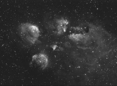 NGC 6334 Halpha