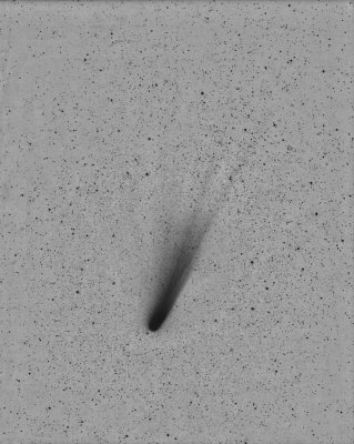Halleys Comet March 1986 (negative)