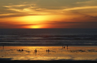 clamming by sunset