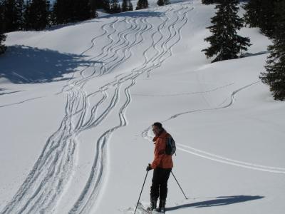 Tracey's tracks