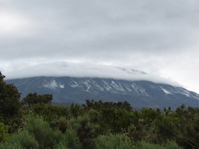 Kilimanjaro (5895m) from Rongai.jpg