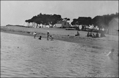 3x4 Glass plate,circa 1900