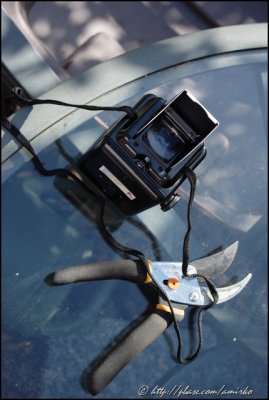620 Kodacolor X roll found in Argoflex 75 camera