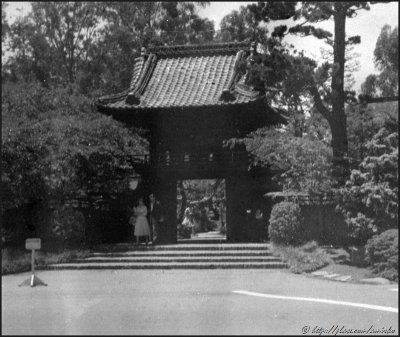 Image from roll found in a box with Brownie Holiday Flash camera