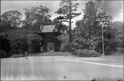 Image from roll found in a box with Brownie Holiday Flash camera