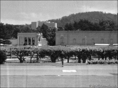 Image from roll found in a box with Brownie Holiday Flash camera