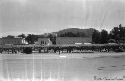 Image from roll found in a box with Brownie Holiday Flash camera