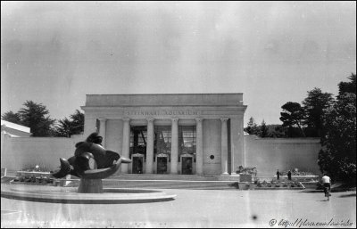 Image from roll found in a box with Brownie Holiday Flash camera