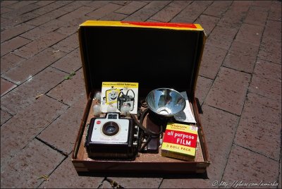 Brownie Holiday Flash outfit in a box