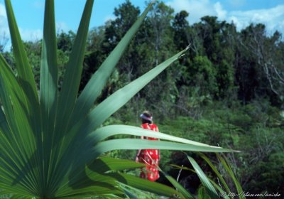 In Lucaya National Park