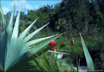 In Lucaya National Park