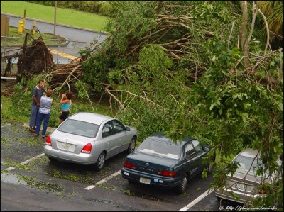 The Day After Katrina