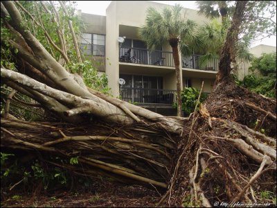 The Day After Katrina