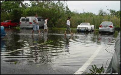 The Day After Katrina