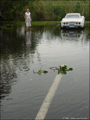 The Day After Katrina