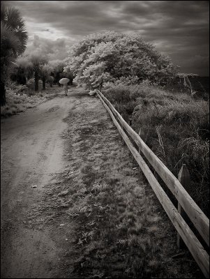 Key Biscayne