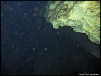 Cave diving, Mar 2008