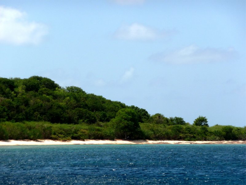 Culebra Island Snorkling 4.jpg