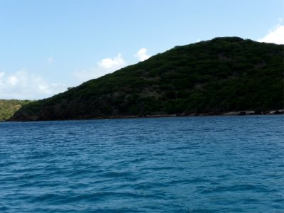 Culebra Island Snorkling.jpg