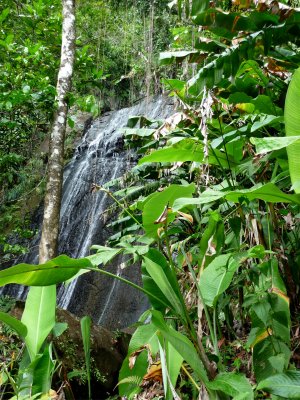 El Yunque Waterfall 9.jpg