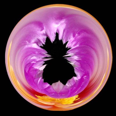 neon cactus -orb.jpg