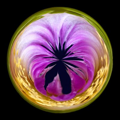 purple cactus bloom orb -4 .jpg