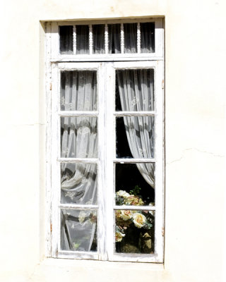 harmony window with roses .jpg