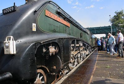 Steam Train Union of South Africa Built 1937