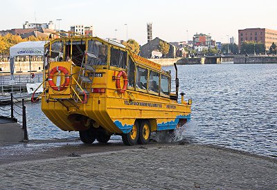 LpoolIMG_3736-01.jpg