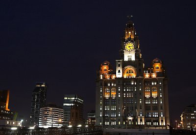 Liver Building