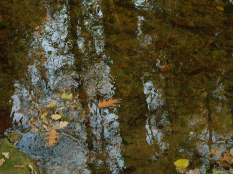 DSCN1694.JPG