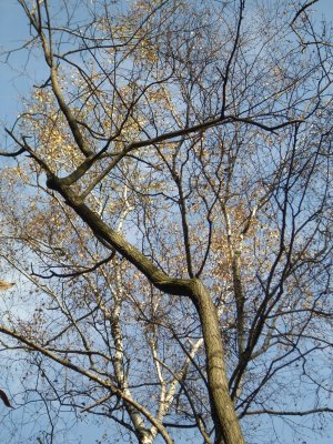 DSCN1886.JPG