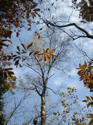 DSCN1888.JPG