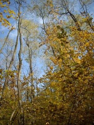 DSCN1894.JPG