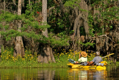 Fisheating Creek