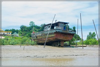 Borneo17.jpg