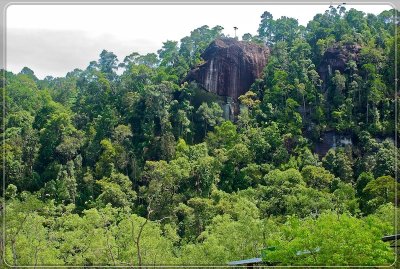 Borneo24.jpg