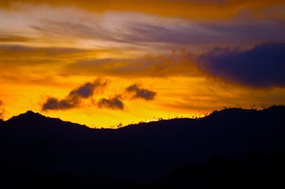 _IGP3167.jpg